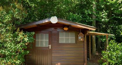 Duinoord 24 bungalow with privacy in green holiday environment