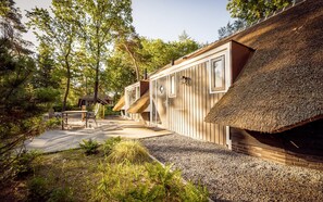 Exterior - Sprielderbosch 3 luxury holiday villa in forest near Garderen (Putten)