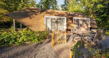 Sprielderbosch 3 luxury holiday villa in forest near Garderen