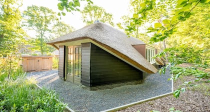 Sprielderbosch 3 luxury holiday villa in forest near Garderen