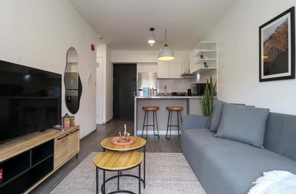 Fernseher, Arbeitsbereiche