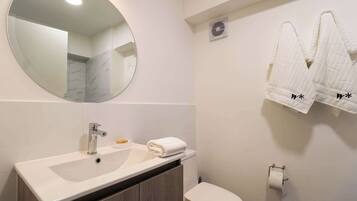 Shower, hair dryer, towels