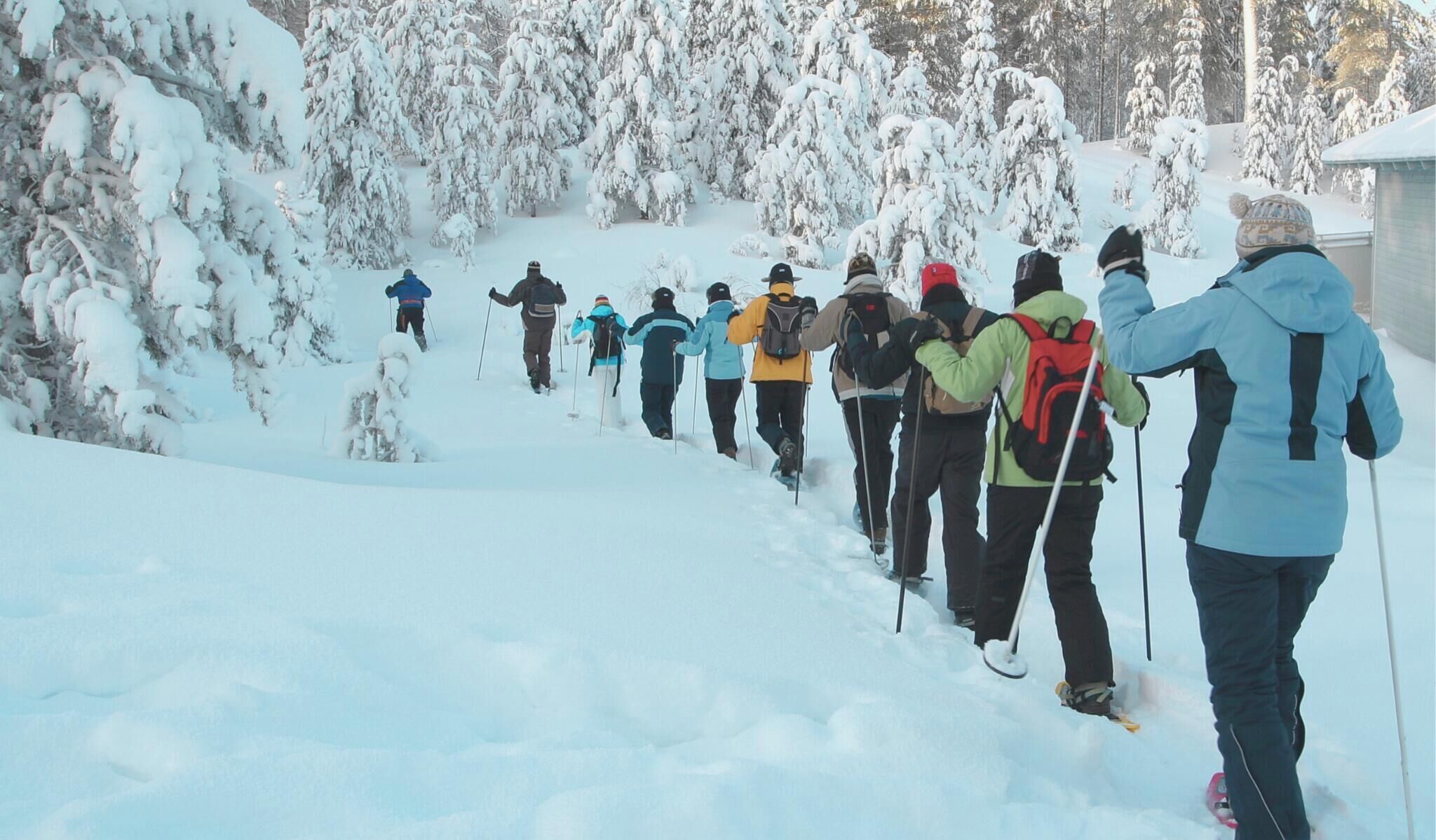 En grupp människor åker längdskidor på en snötäckt stig med träd på båda sidor.