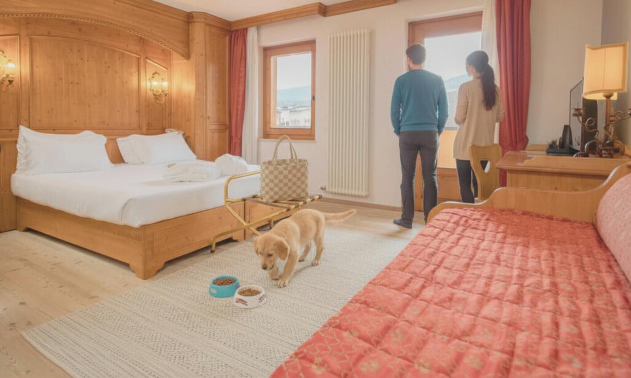 Une chambre d’hôtel avec un lit en bois, une grande fenêtre, un chien et une couverture rouge.