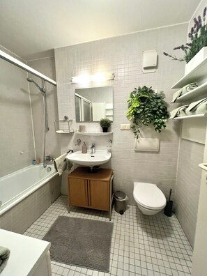Hair dryer, towels, soap, toilet paper
