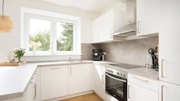 Fridge, oven, stovetop, dishwasher