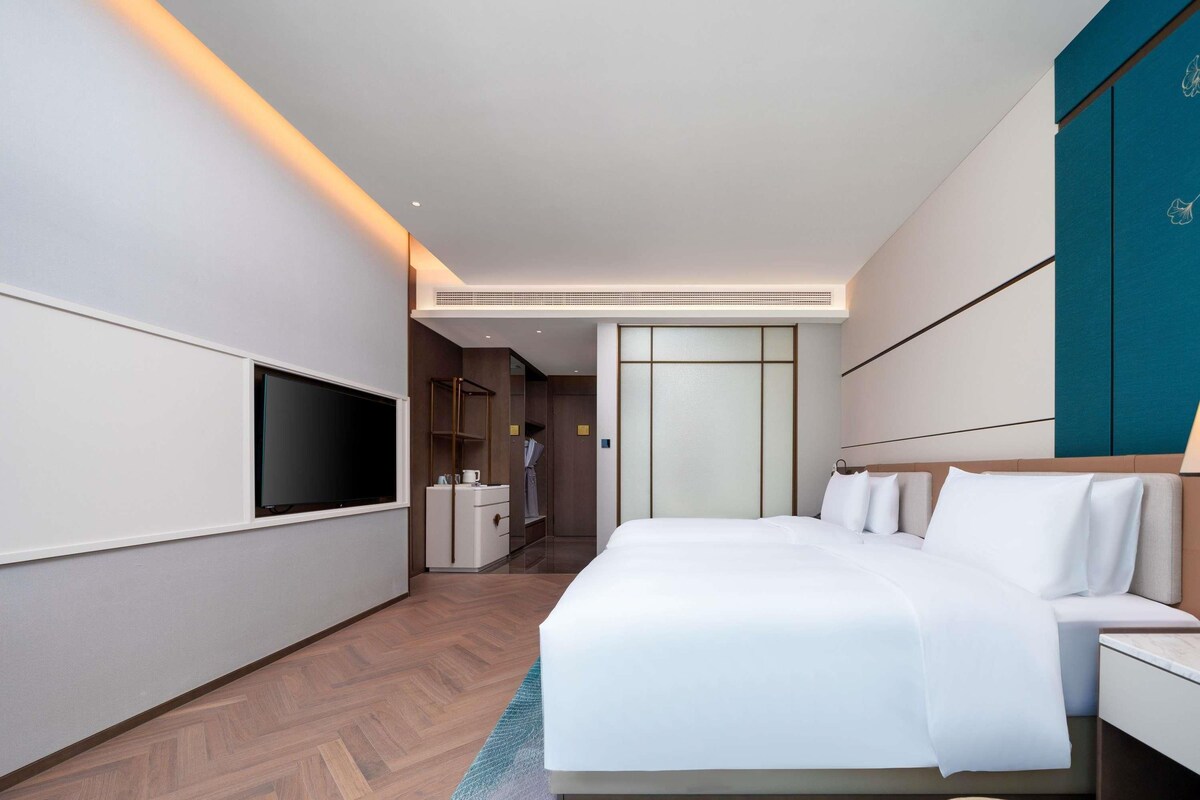 Una habitación de hotel moderna con una cama grande, un televisor de pantalla plana, un armario y un vestidor.