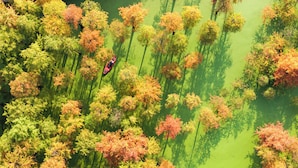An aerial view of a forest with a canoe on a green water body surrounded by trees with autumn foliage.
