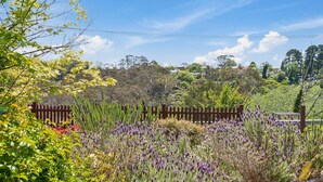 A garden with a wooden fence, various plants, and trees in the background.