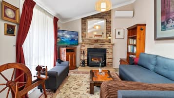 TV connectée, cheminée, lecteur de DVD, livres