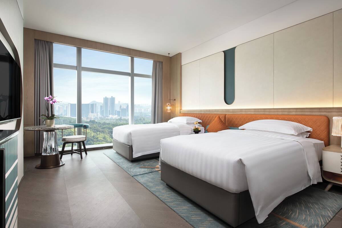 A hotel room with two beds, a TV, a small table with a plant, and a view of the city.