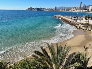 Playa en los alrededores