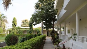 Vue sur le jardin