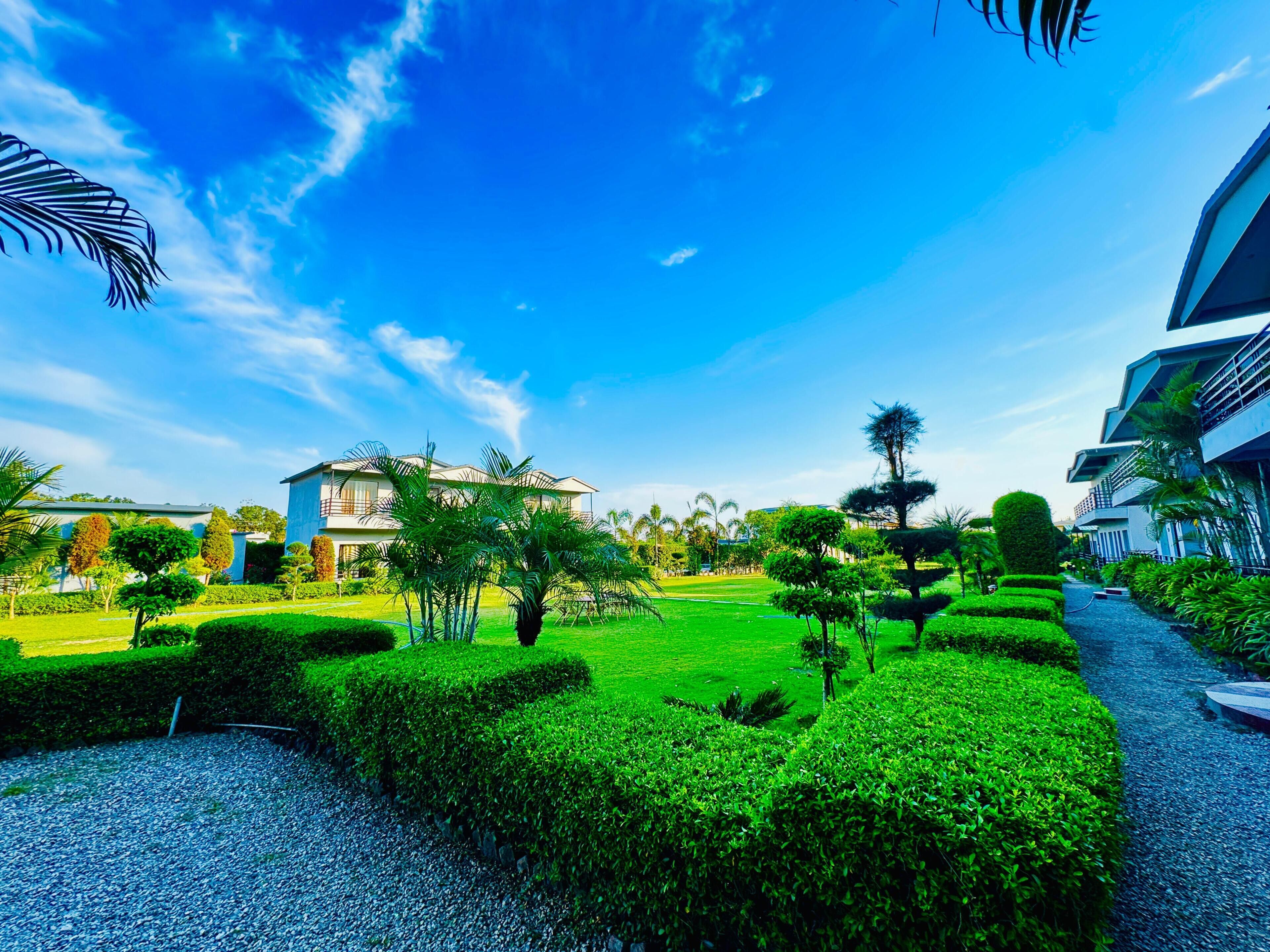 Garden view