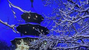 Un pagode japonés tradicional con varios niveles, rodeado de árboles cubiertos de nieve y una zona de mercado festiva.