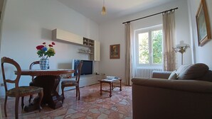 A living room with a sofa, a dining table with chairs, a TV, a vase with flowers, a radiator, and a window with curtains.