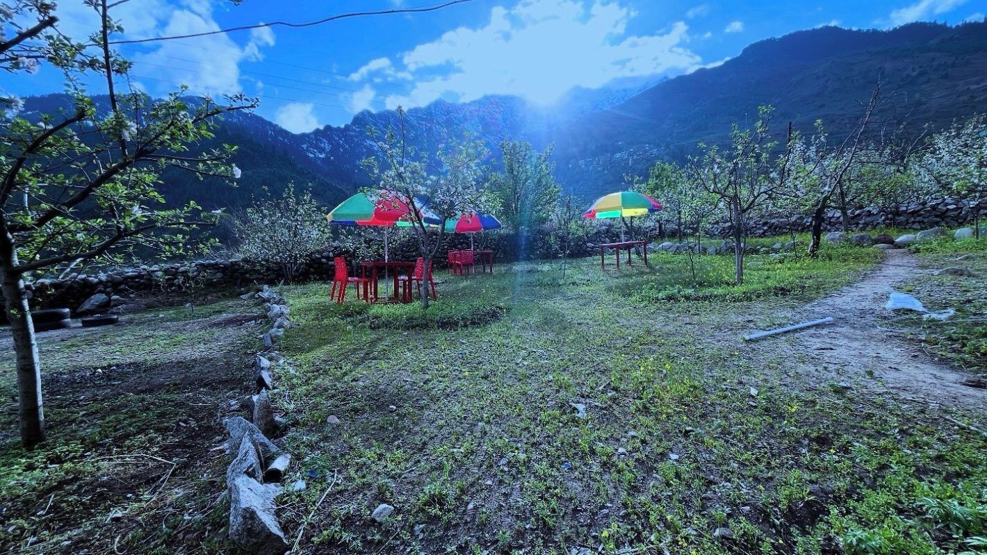 Taman