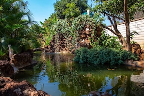 Room - Mt Pleasant Bed and Breakfast Ltd (Harare)