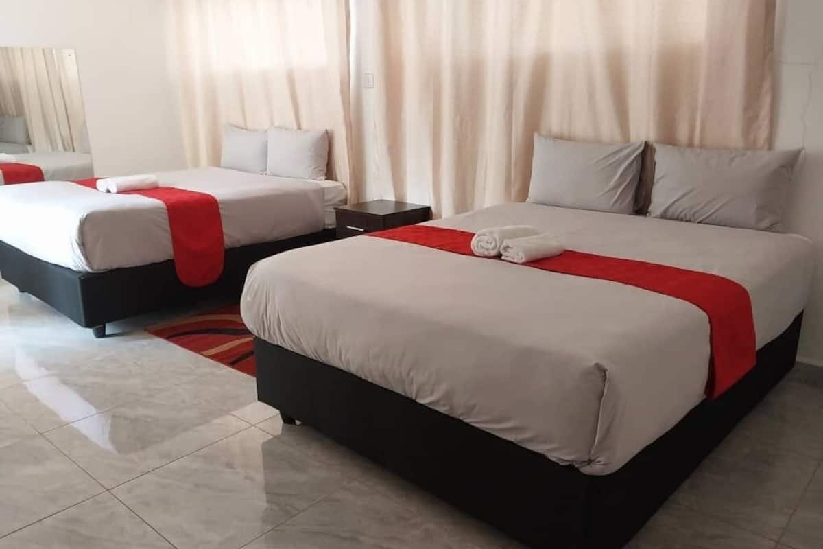 Basic Double or Twin Room