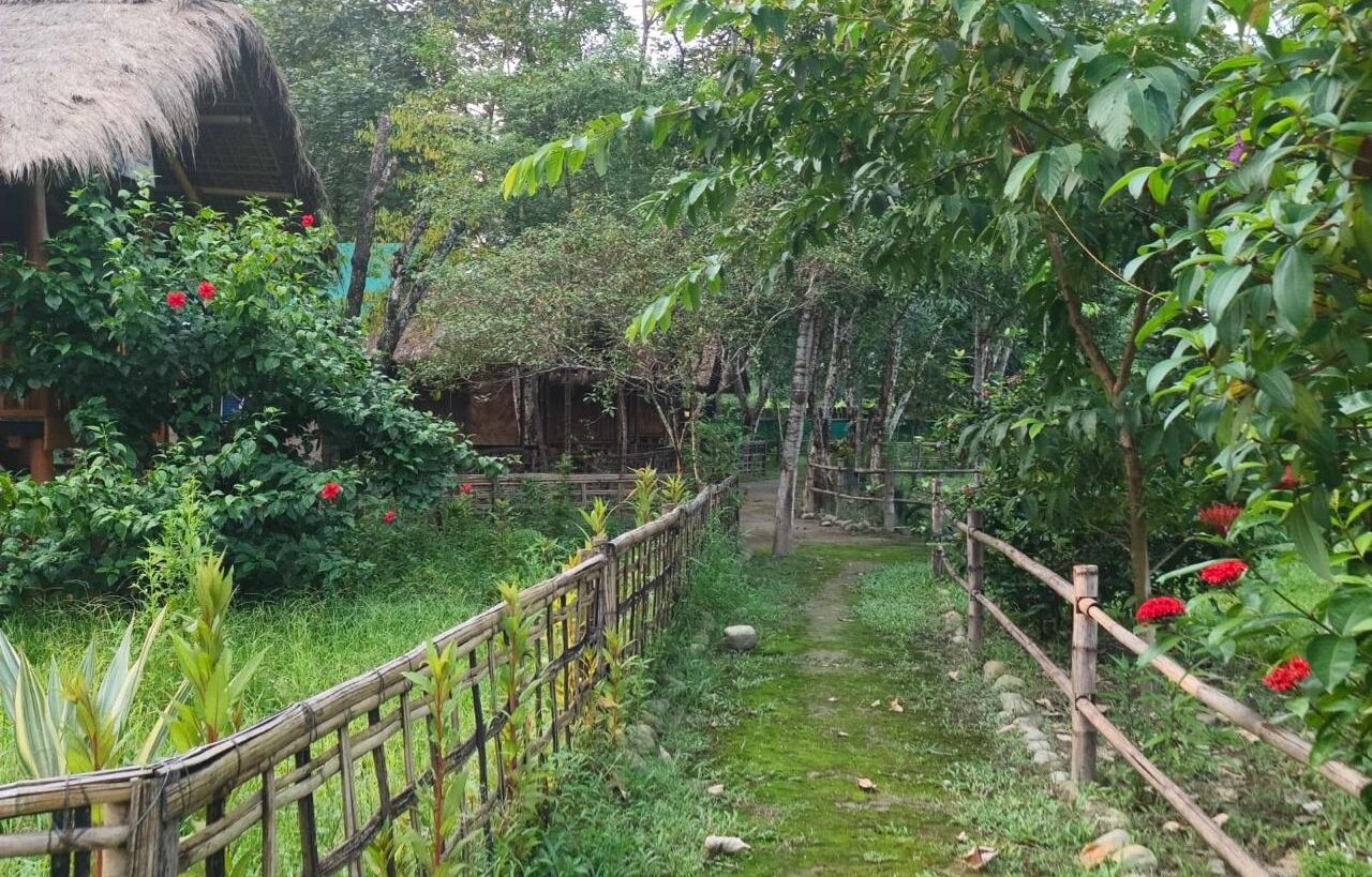A rustic garden with a bamboo fence, a thatched-roof structure, and lush greenery.