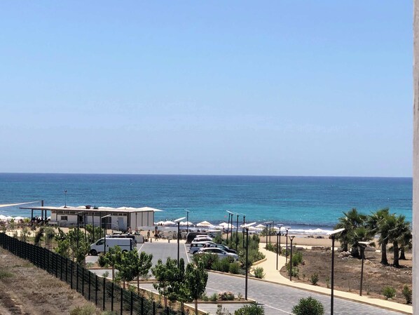 على الشاطئ