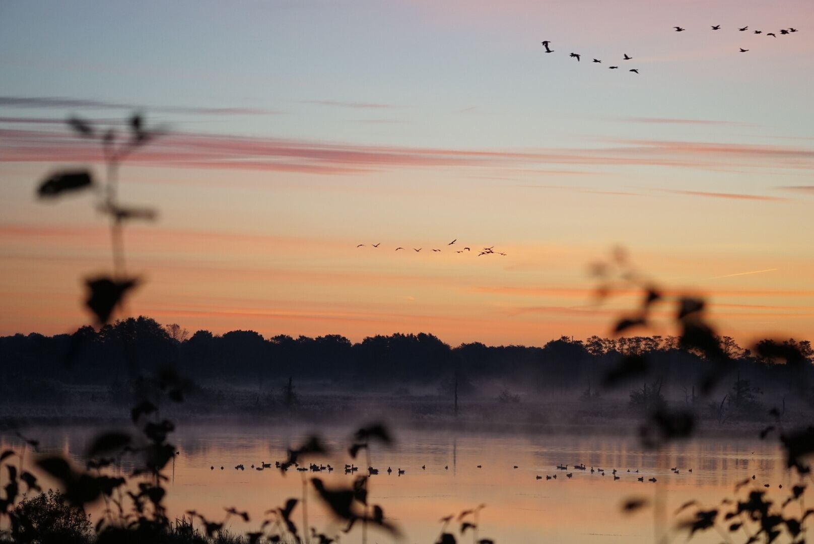 Une vue paisible sur un lac au coucher du soleil, avec les silhouettes d’arbres et d’oiseaux.