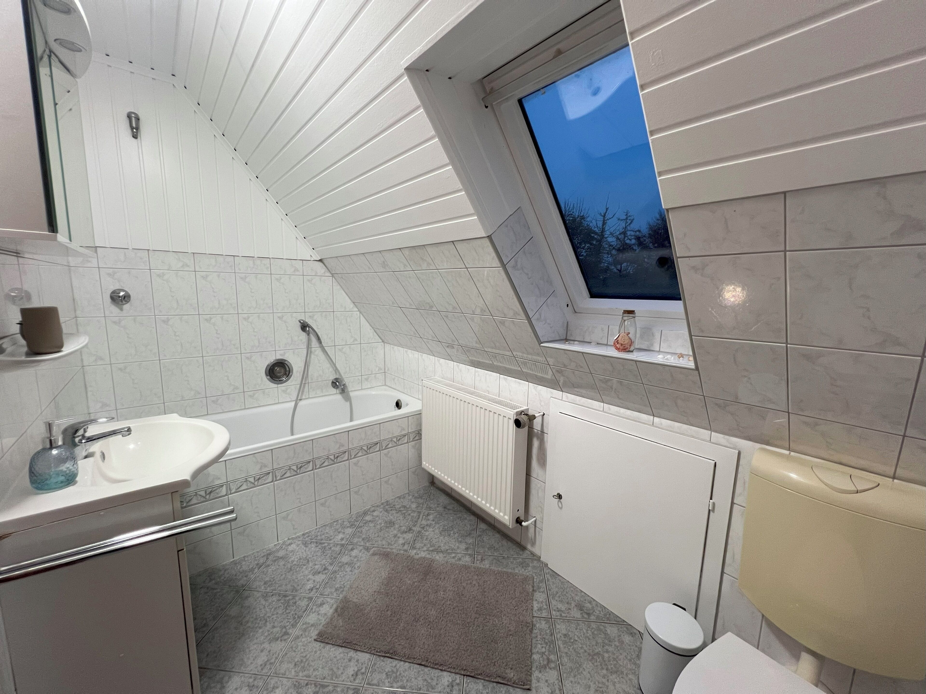 Une salle de bain avec un puits de lumière, une baignoire, des toilettes et un lavabo.