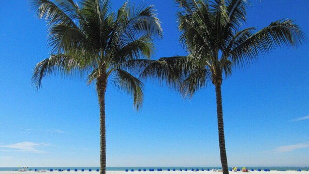 Two palm trees on a beach with a clear sky. - Beachfront 2B/2B Sandarac Vacation Condo - Million Dollar Gulf View! (Fort Myers Beach)