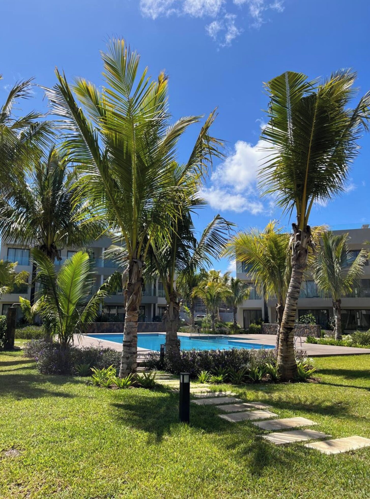 Alberca al aire libre 