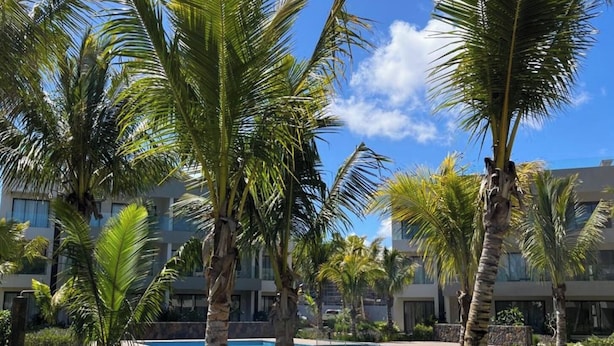 Zona de piscina con palmeras, cielo azul despejado y un edificio al fondo.