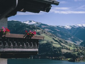 1 bedroom - Apartments Haus Altenberger 1 Studio (Zell am See)