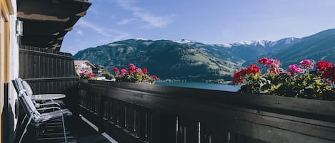 Apartment | 1 bedroom