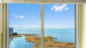 Ein großes Fenster mit Blick auf eine Küstenlandschaft, darunter Wasser und Grasflächen.