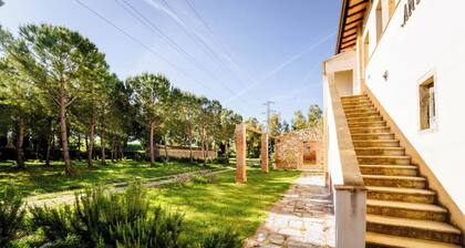 Agriturismo Bio San Mamiliano