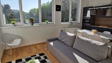 Comfort Apartment, 2 Bedrooms, City View | Living area | Flat-screen TV