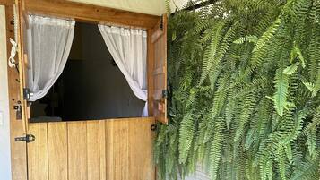 Una puerta de madera con dos cortinas, un suelo de hormigón y una pared con helechos colgantes.