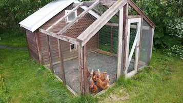 Cabin, 1 Bedroom, Garden View | Property grounds