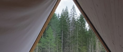 En person ligger på en seng i et telt med udsigt til en skov.