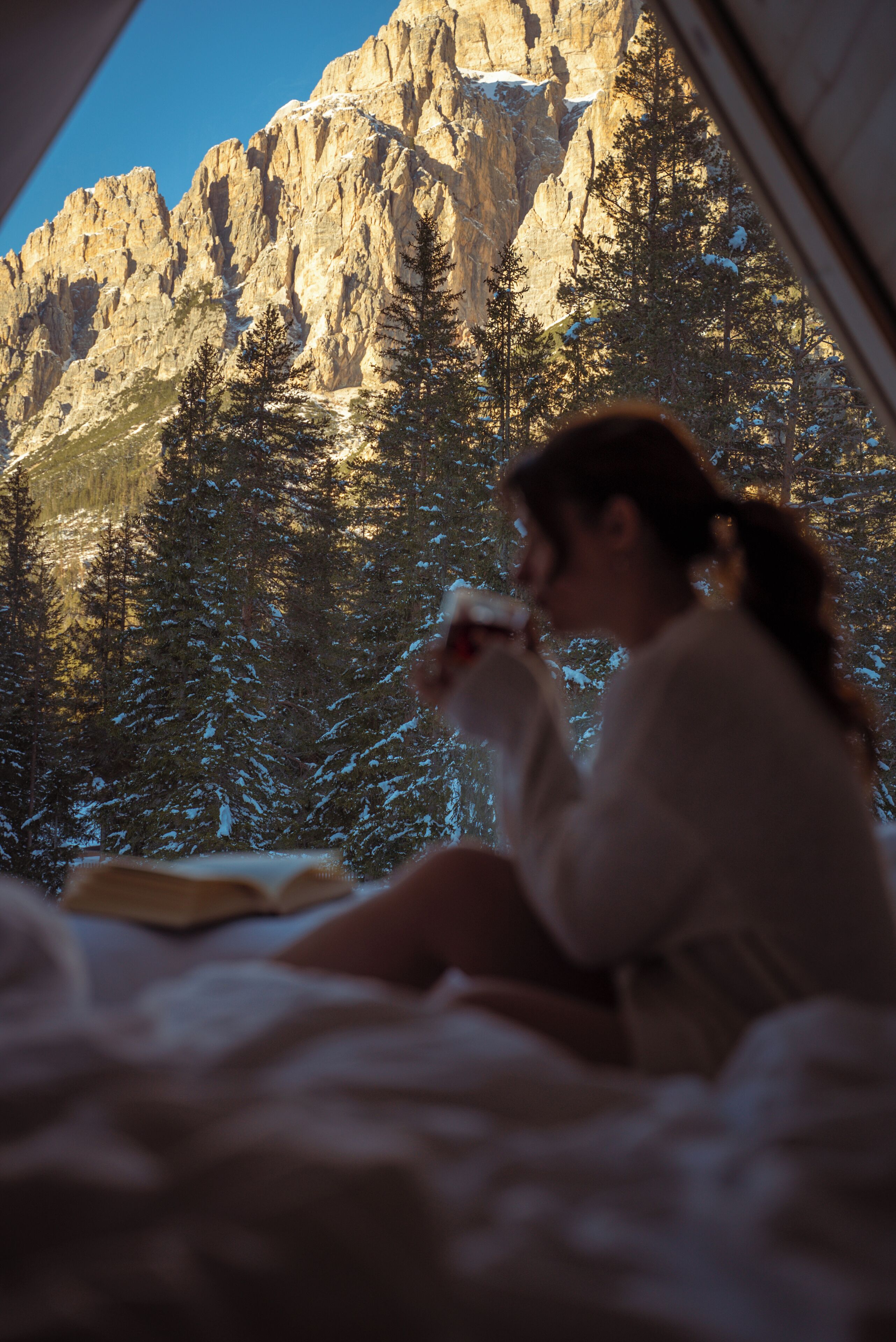 Cabane, 1 chambre, vue montagne | Vue sur les montagnes
