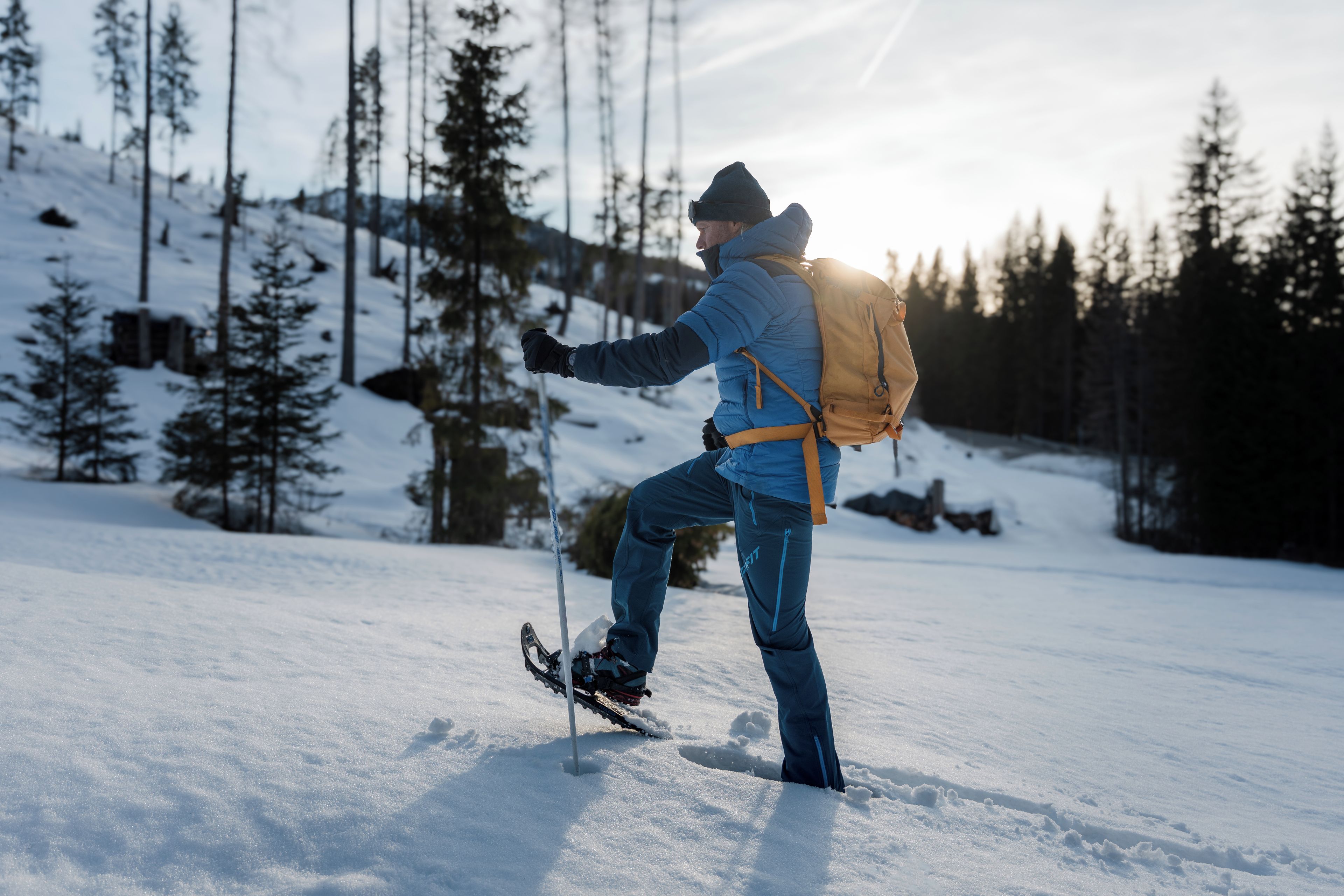 A person cross-country skiing in a snowy landscape with trees and a clear sky.