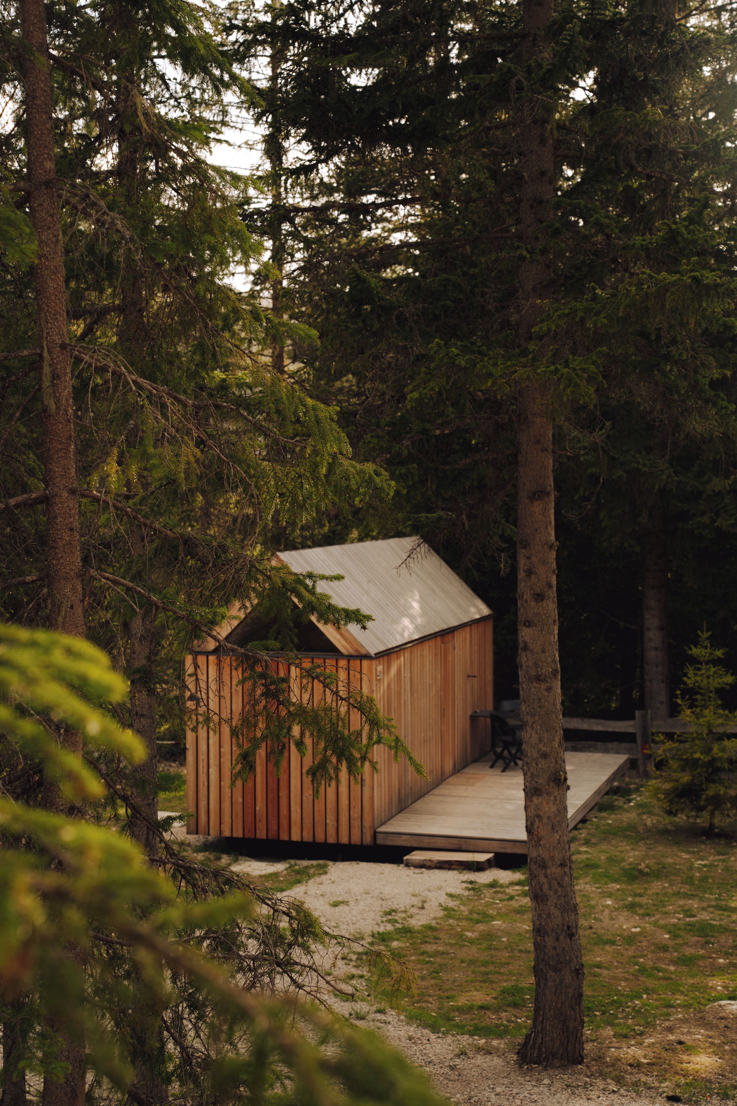 Una cabaña de madera con techo metálico, rodeada de un bosque denso.