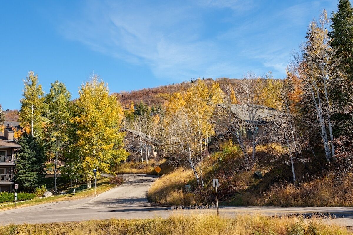 Eine Wohnstraße mit Häusern, Herbstlaub und blauem Himmel.