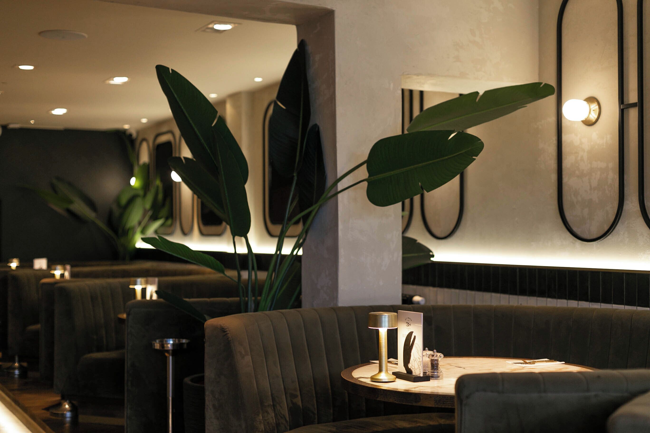 A dimly lit restaurant with dark upholstered booths, a round table with a lamp, and a large plant in the foreground.