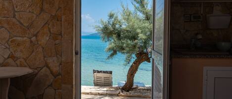 Beach/ocean view