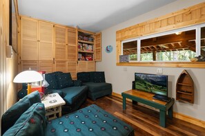 TV, fireplace, DVD player, books