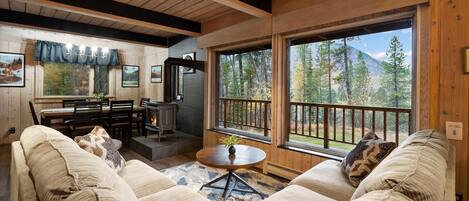TV, fireplace, DVD player, books
