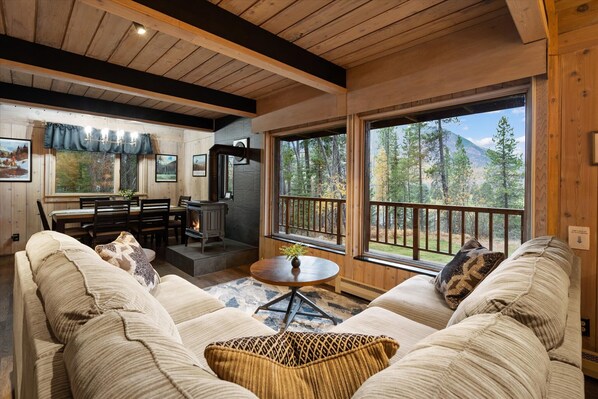 TV, fireplace, DVD player, books