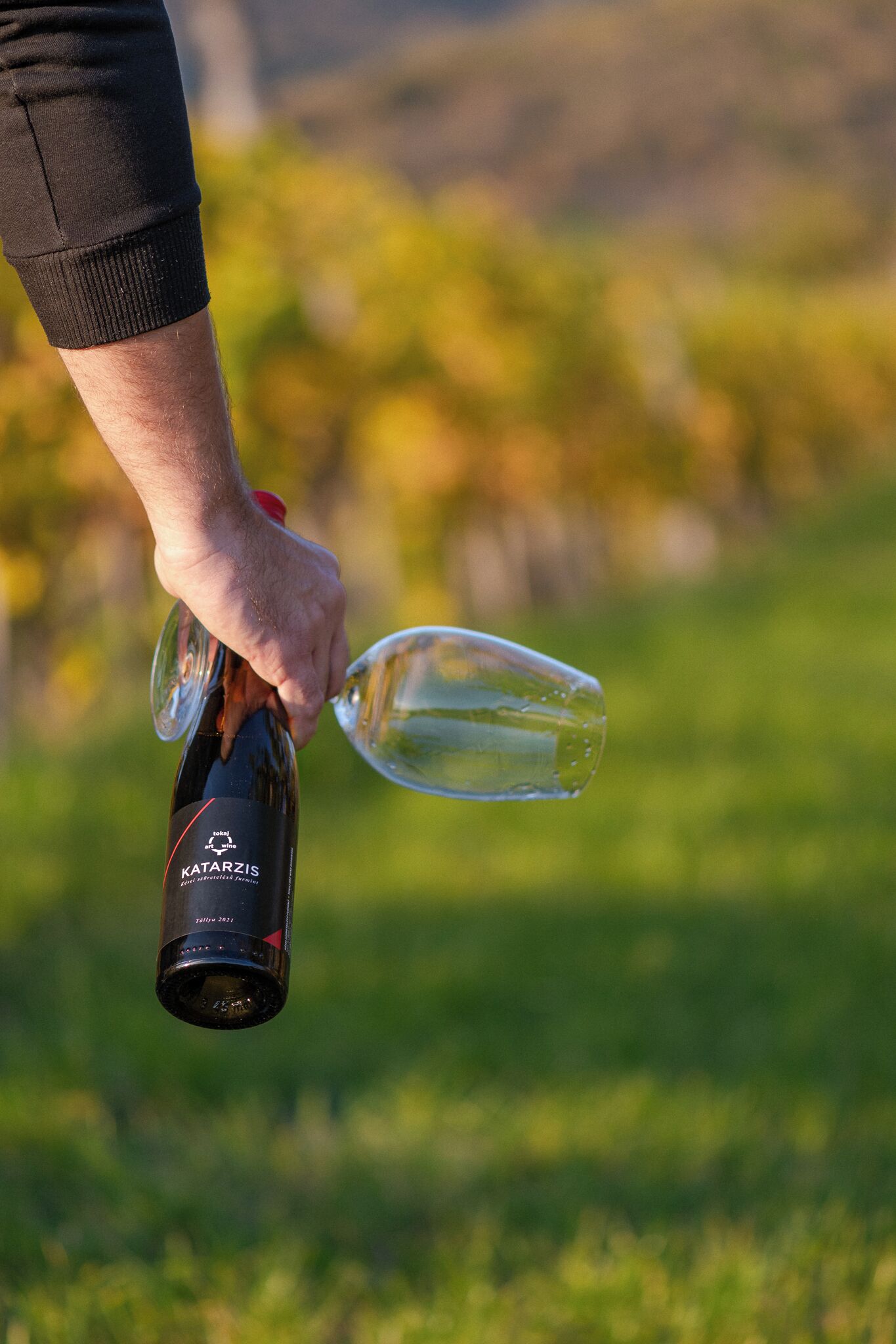 A person pouring wine from a bottle labeled "KATARZIS" into a glass.