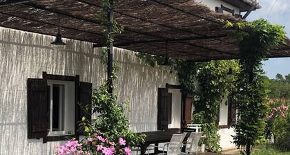 Landes océan - Rental house 230 m2, close to beaches