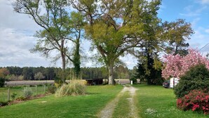Property grounds - Landes océan - Rental house 230 m2, close to beaches (Mézos)